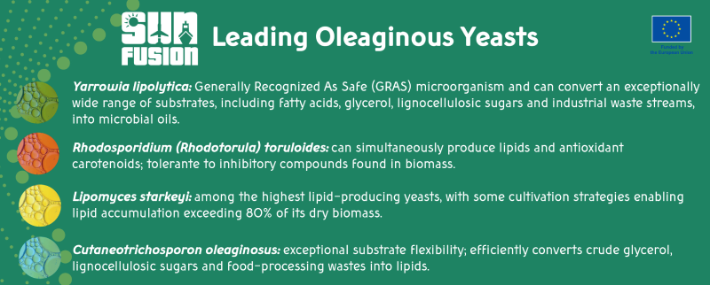 Leading Oleaginous Yeasts SUNFUSION