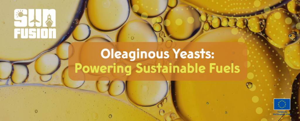 Oleaginous Yeasts: The Overlooked Microbial Feedstock Powering the Next Generation of Sustainable Fuels SUNFUSION